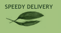 Speedy Delivery